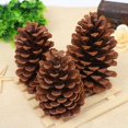 thumbnail image 1 of 12 conos de pino natural a granel, adornos de cono de pino de Navidad para manualidades, árboles de Navidad, decoración del hogar de Acción de Gracias de otoño 12 conos de pino natural a granel Zhivalor HMFJ244-6, 1 of 2