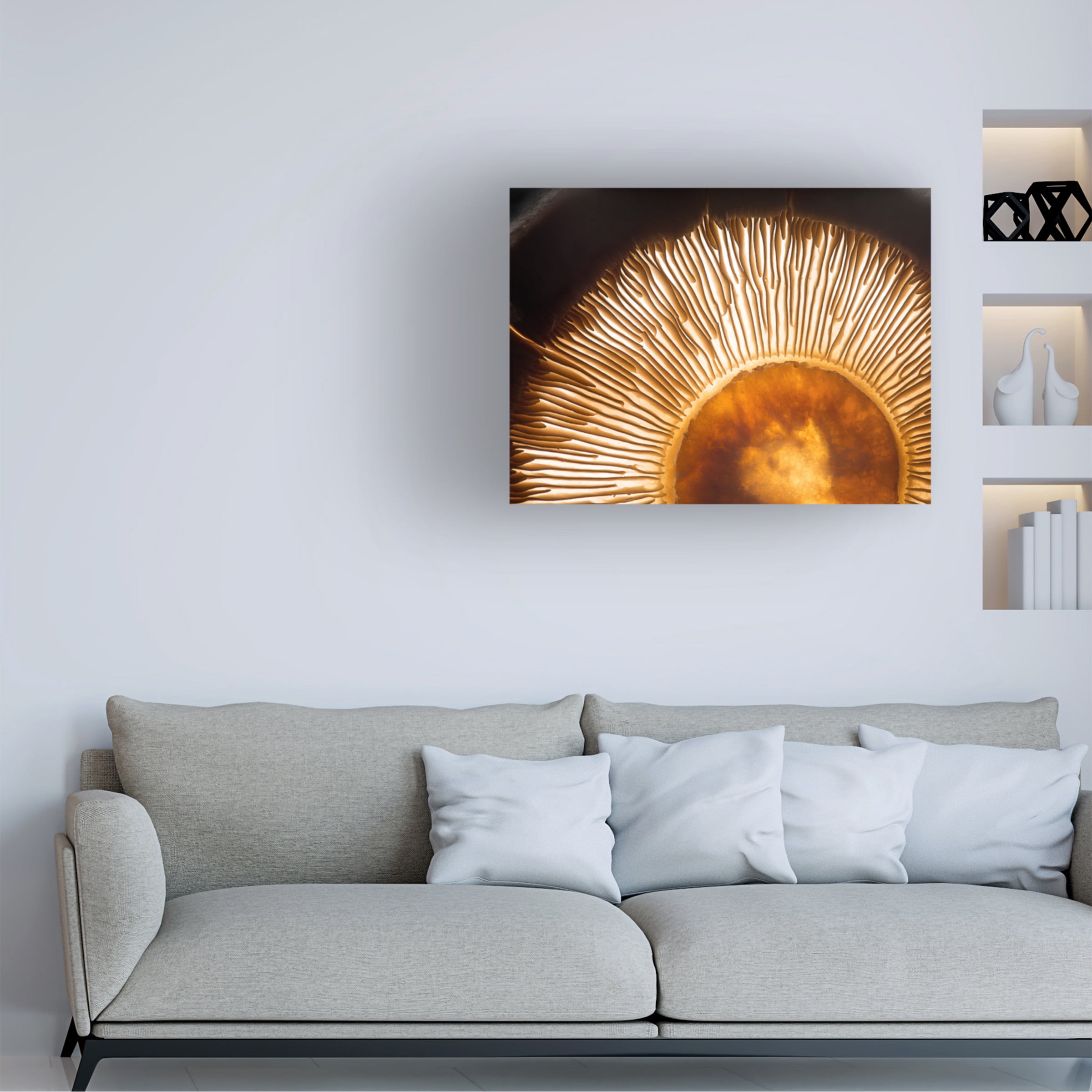 Wieteke De Kogel 'Portobello Mushroom' Canvas Art