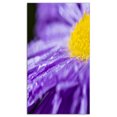 thumbnail image 2 of Large Violet Flower Petal Close up - Large Flower Canvas Wall Art, 2 of 3