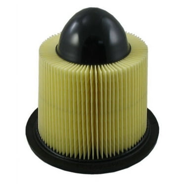 Pentius PAB8039 Direct Replacement Engine Air Filter for 1997 - 2008 Ford F150, 1997 - 2004 F250