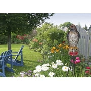 Bird B Gone Hawk Decoy Bird Deterrent
