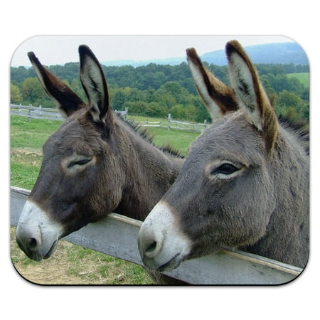 - Donkey at the Farm Field Fence Mouse Pad