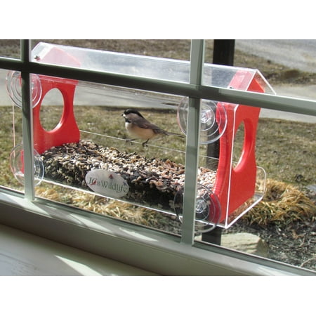 Window Alert Bird - Window Bird Feeder by JCs Wildlife Holds 4 Cups Red Recycled Poly Free Shipping
