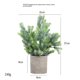 thumbnail image 1 of Plantas artificiales para decoración del hogar en interiores. 1 Mini Plantas, Decoración de Plantas Falsas de Romero, Plantas de Hierba. Pequeño estante falso o decoración de escritorio con, 1 of 5