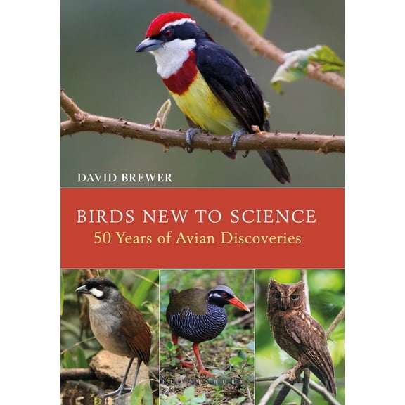 Helm Photographic Guides: Birds New to Science : Fifty Years of Avian Discoveries (Hardcover)