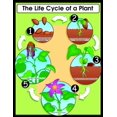 thumbnail image 1 of Carson Dellosa le Cycle de Vie d'Un Plant Chart (6358), 1 of 1
