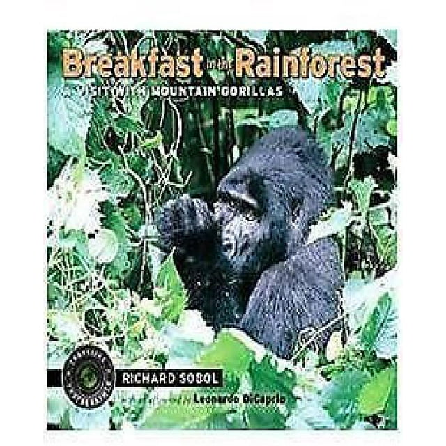 Petit Déjeuner dans la Forêt Tropicale: une Visite avec des Gorilles de Montagne
