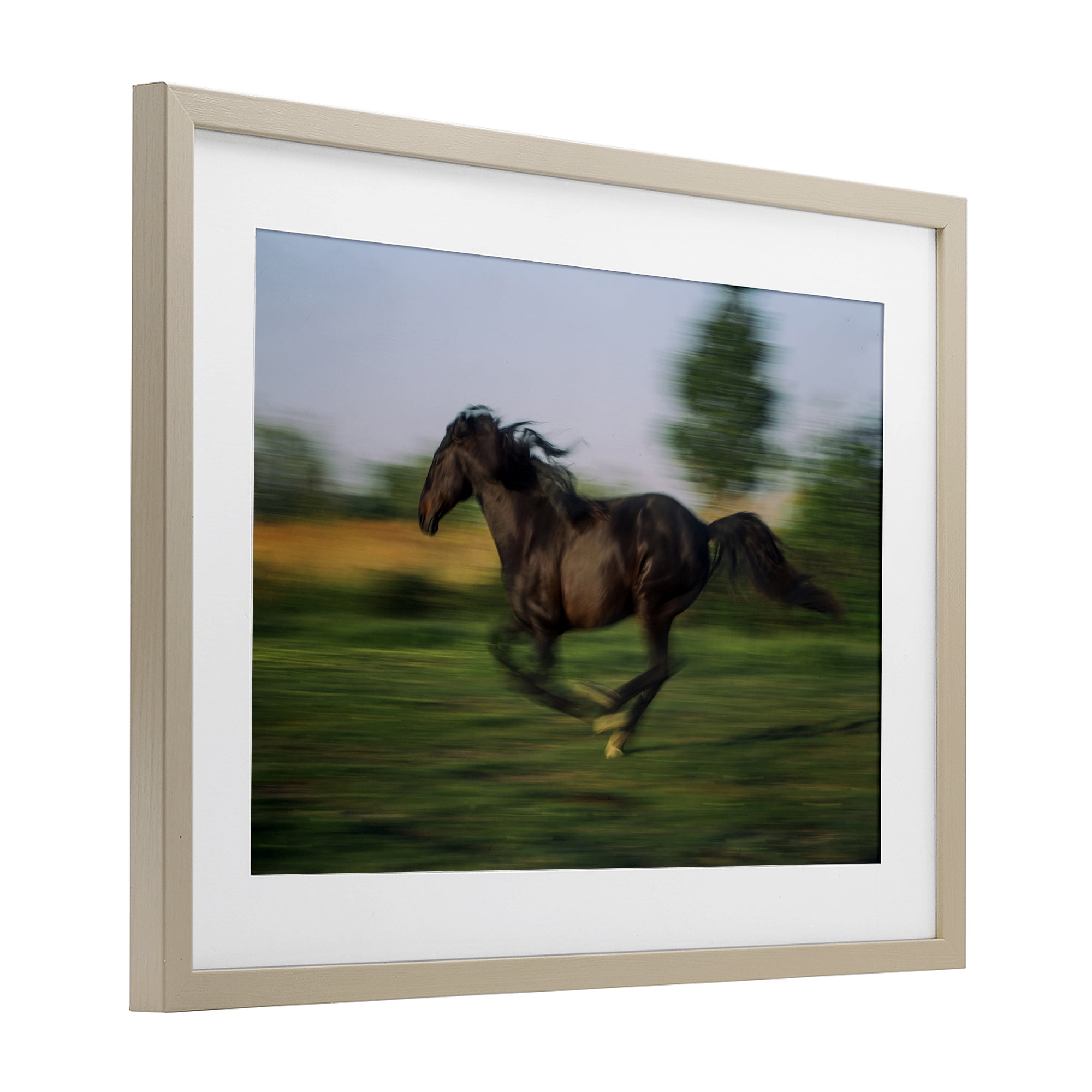 Stupell Industries Dashing Camargue Racehorse Birch Framed Print Under Glass, design by Scott Stulberg