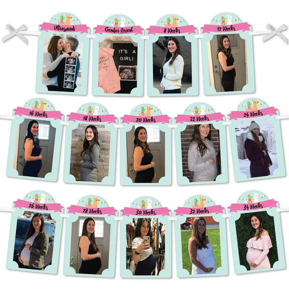 Big Dot of Happiness Whole Llama Fun - DIY Baby Shower Decor - Weekly Pregnancy Picture Display - Photo Banner