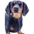 thumbnail image 4 of Garden Decor Animal Statue Standing Dachshund Statue, 4 of 5