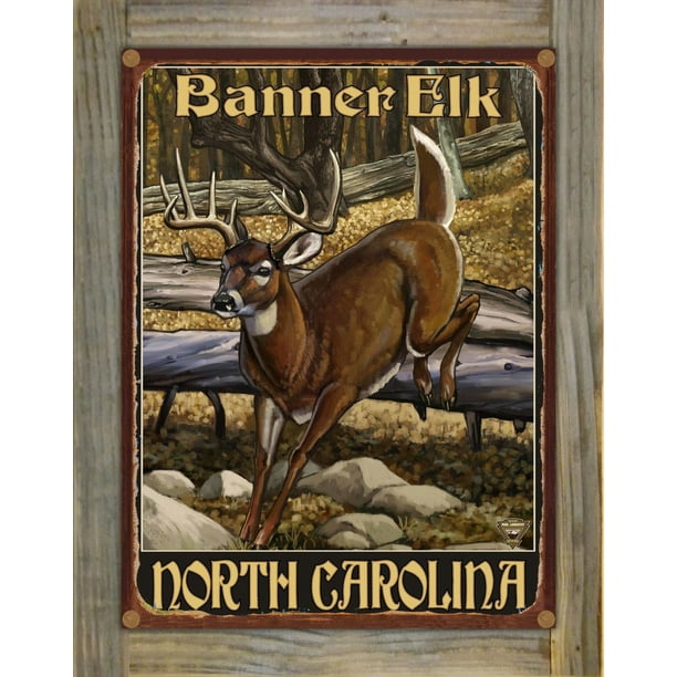 Banner Elk North Carolina Whitetail Deer Rustic Metal Print on Reclaimed Barn Wood by Paul A