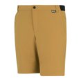 thumbnail image 3 of Regatta Professional Mens Light Insect Repellent Travel Shorts, 3 of 4