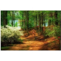 Trademark Fine Art "Favorite Path" Canvas Art by Lois Bryan, 16x24