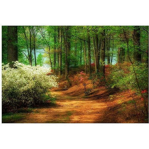 Trademark Fine Art "Favorite Path" Canvas Art by Lois Bryan, 16x24