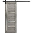 thumbnail image 1 of Sturdy Barn Door 24 x 80 inches | Quadro 4088 Nebraska Grey with Frosted Glass | 6.6FT Rail Hangers Heavy Hardware Set | Solid Panel Interior Doors, 1 of 5