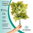 thumbnail image 2 of Paquete 5 Plantas Artificiales Tropicales Falsas Codiaeum verde 1 Sky Green AT17197, 2 of 7