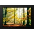 thumbnail image 2 of Van De, Lars 18x13 Black Modern Framed Museum Art Print Titled - Sinfonia Della Foresta, 2 of 5