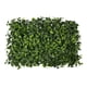 thumbnail image 1 of Follaje Artificial Sintetico Muro Verde 60x40cm Hoja Grande verde, 1 of 7