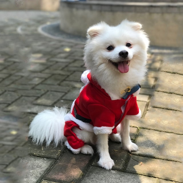 Ropa Navideña Para Mascotas, Disfraz De Papá Noel Para Perros, Abrigo Con Capucha Para Perros Pequeños, Medianos Y Grandes, Ropa De Invierno