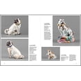 thumbnail image 5 of Courtly Companions : Pugs and Other Dogs in Porcelain and Faience (Hardcover), 5 of 9