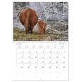 thumbnail image 6 of Grazing cattle in the Franconian Forest (Monthly Wall Calendar 2026 16.5 x 23.4 (open)), CALVENDO 14 Month Calendar, 6 of 9