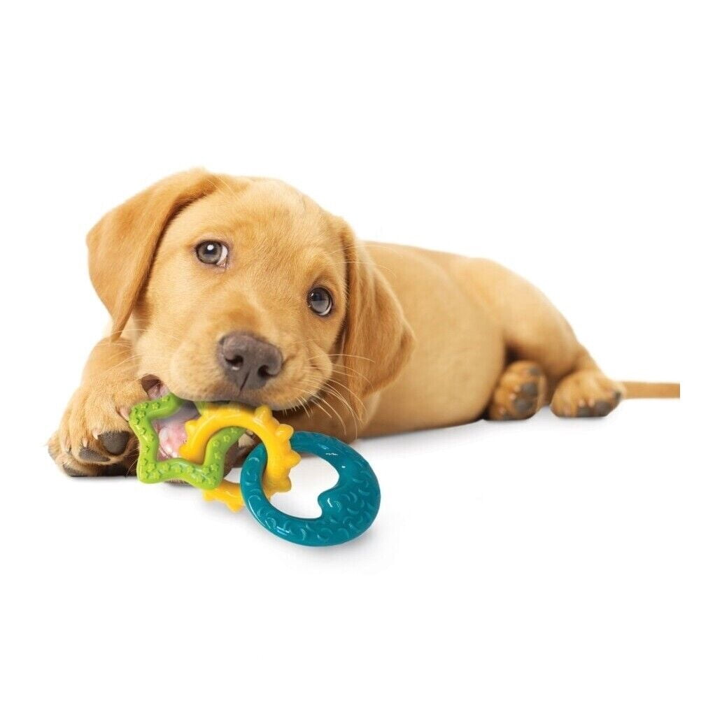 Puppy Teething Keys, Rings or Pacifiers Durable Dog Dental Health Chew Toys (Full Set - 3 Small Teething Toys)