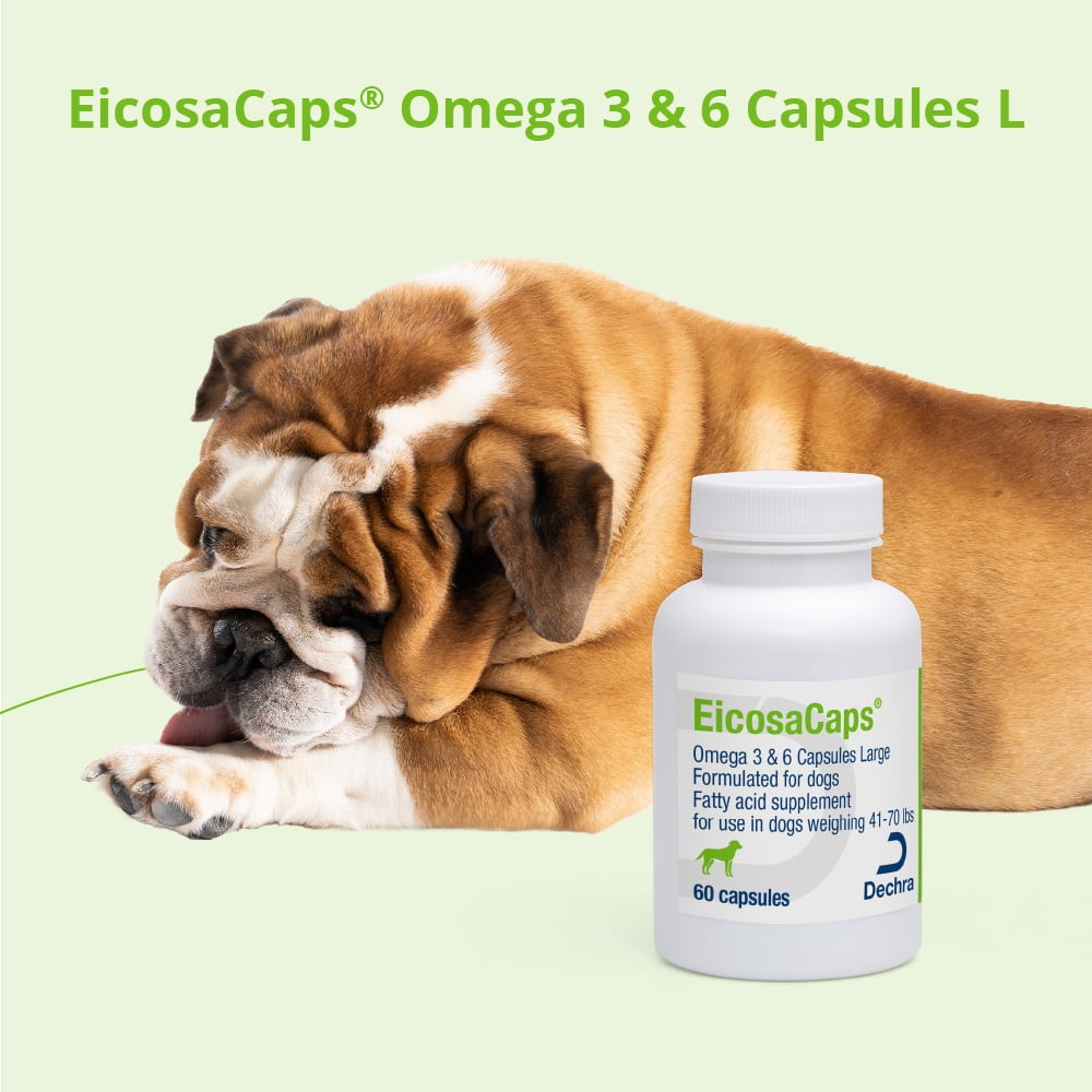 EicosaCaps Omega 3 & 6 for Dogs and Cats Under 40 lbs, 60 Capsules