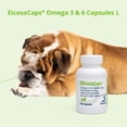 thumbnail image 4 of EicosaCaps Omega 3 & 6 for Dogs and Cats Under 40 lbs, 60 Capsules, 4 of 4