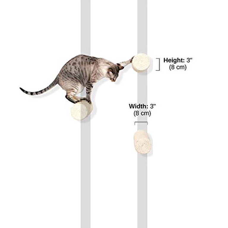 Catastrophic Cat