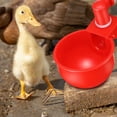 HICESS Automatic Easy Install Chicken Waterer Plastic Practical Food