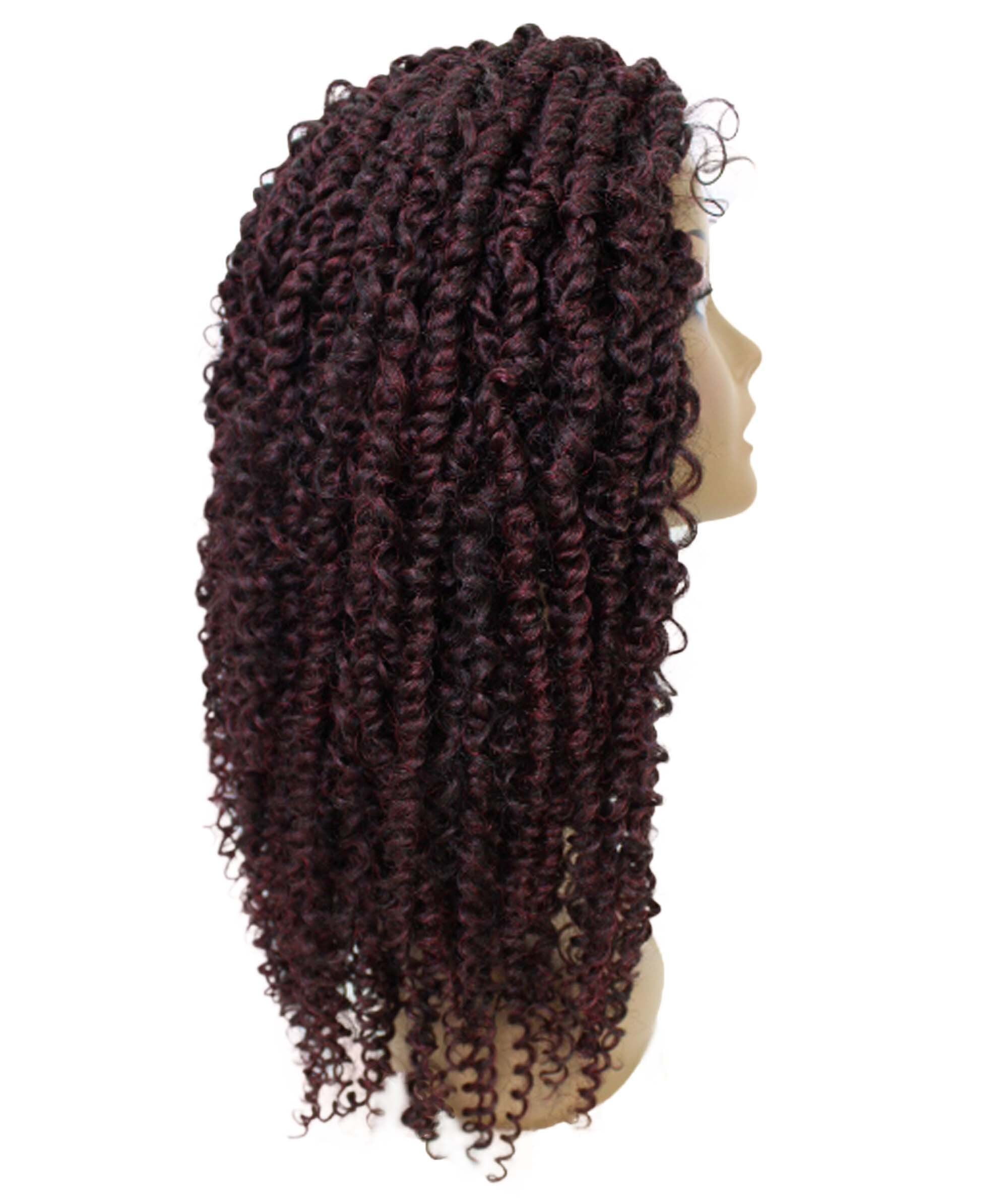 LUXLUXE Tierra Curly 19 in Long 4x4 Hand Tied Lace Braid Braided Wig, Beauty Heat Resistant Fiber, 20+ Shades of Natural, Dip Dyed, & Blended Colors