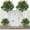 B, variant on Bwiyojiz Home Decor Christmas Decorations Count 2pcs Holiday Planter Filler Upgrade Golden Red Berries Outdoor Lighted Lit Xmas Trees with Cones, Gifts for Yourself, Green
