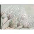 thumbnail image 1 of Cuadro Decorativo - Gotas de rocío Jr Impresión en canvas, estrechado, 1 of 2