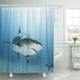 thumbnail image 1 of ABPHQTO Océano azul Tiburón de arrecife del Caribe con gancho de pesca Cicatriz Animal Submarino Vida silvestre Juego de cortinas de ducha de baño a prueba de agua 165x180 cm, 1 of 2