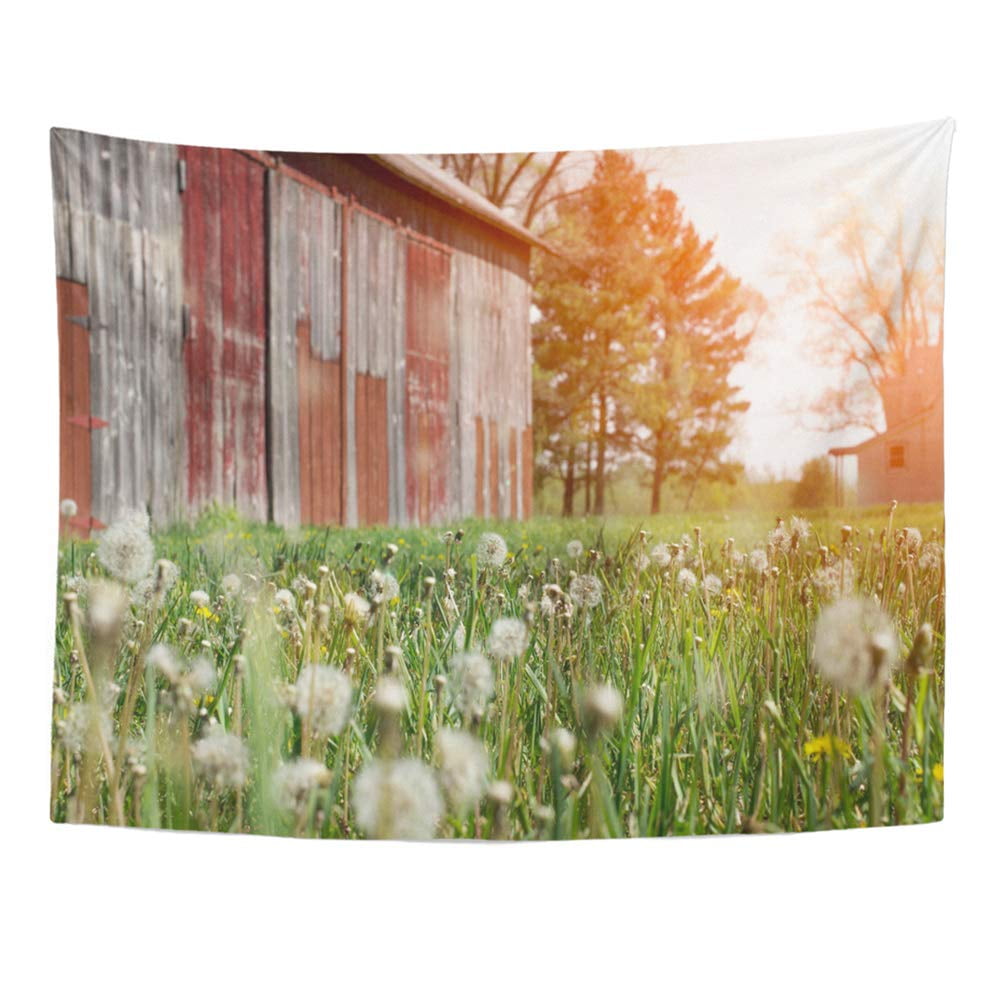 ZEALGNED Historic Old Farmhouse and Rustic Faded Barn Dandelion Seeds