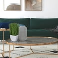 thumbnail image 6 of Pemberly Row 11.5" Contemporary Plastic Artificial Potted Grass in Green, 6 of 7