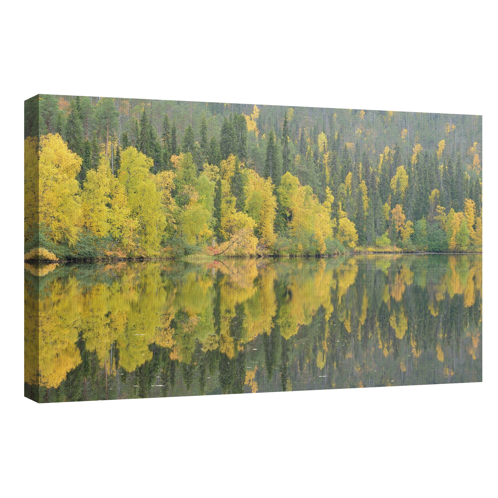 Mirrored Reflections by Staffan Widstrand Lakeview Landscape Canvas Art