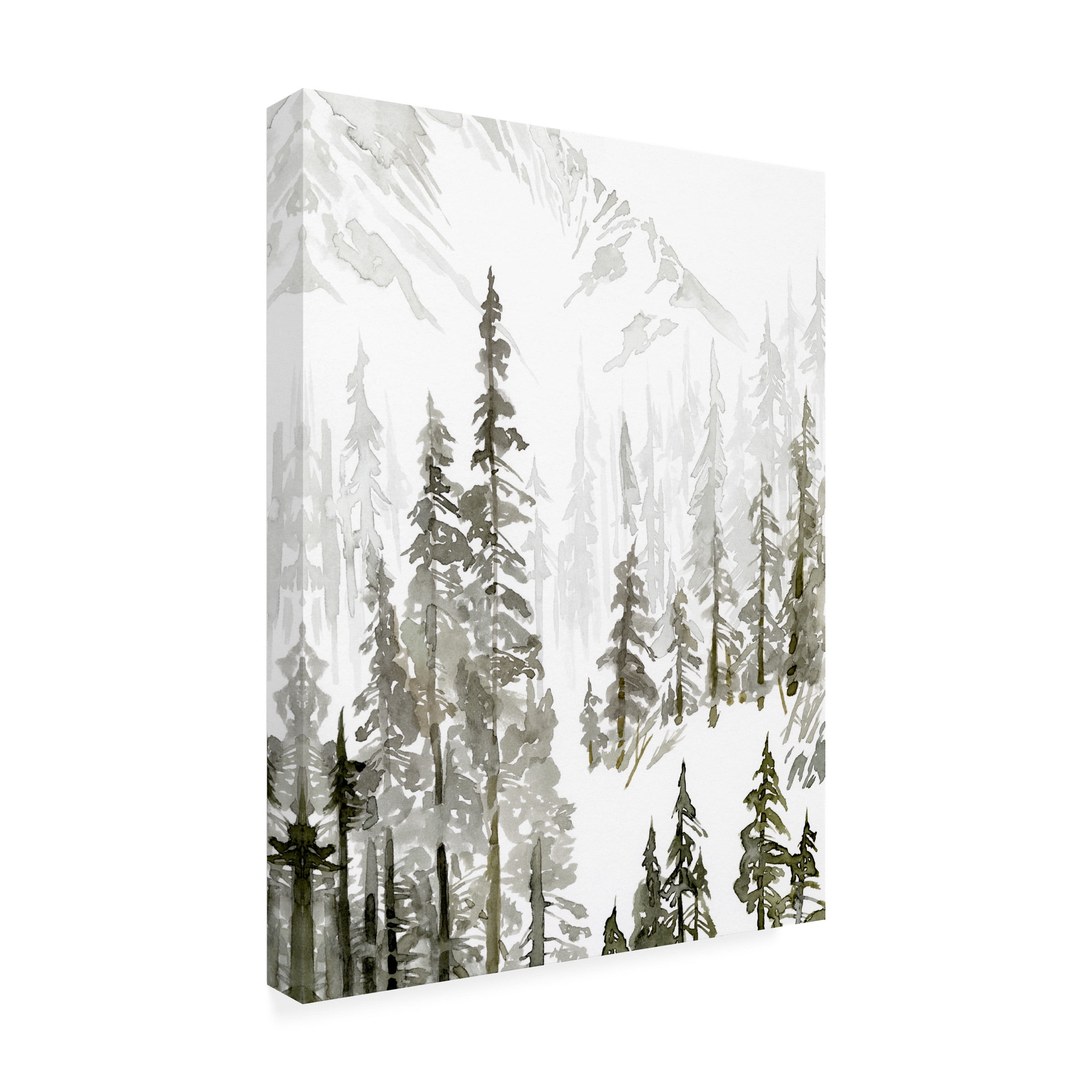 Jacob Green 'Continental Divide I' Canvas Art