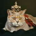 thumbnail image 4 of 4 Uds. Gafas de sol para gatos y perros, gafas para mascotas, gafas para Cosplay para perros y gatos, 4 of 7