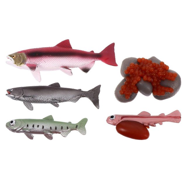 1 Set Ocean Animal Simulation Toys Home Living Room Office Craft Ornaments