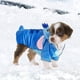 thumbnail image 3 of Ropa para Mascotas con el Diseño de Stitch Ropa de Otoño e Invierno con Cuatro Patas Adecuada para Perros de Raza Teddy y Otras Mascotas, 3 of 8