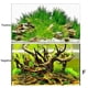 thumbnail image 5 of Adhesivo 3D de fondo para acuario, pintura de paisaje oceánico de doble cara, póster con imagen para decoración de acuario, accesorio para pecera, 40 x 60 cm de alto x largo, profundidad, 5 of 5