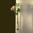 thumbnail image 5 of Couronne Co Elegant Glass Flower Vases & Test Tube for Plants – Clear Vase Decor for Living Room, Indoor Plants & Home Decorations - 33 in, 5 of 9