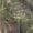 Mossy Oak Obsession, variant on DSG Outerwear Women's Bexley 3.0 Ripstop Tech Hunting Pants Realtree Excape SMALL