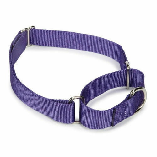 Martingale Adjustable Nylon Dog Training Choke Collar with Chain Reduce Pulling 