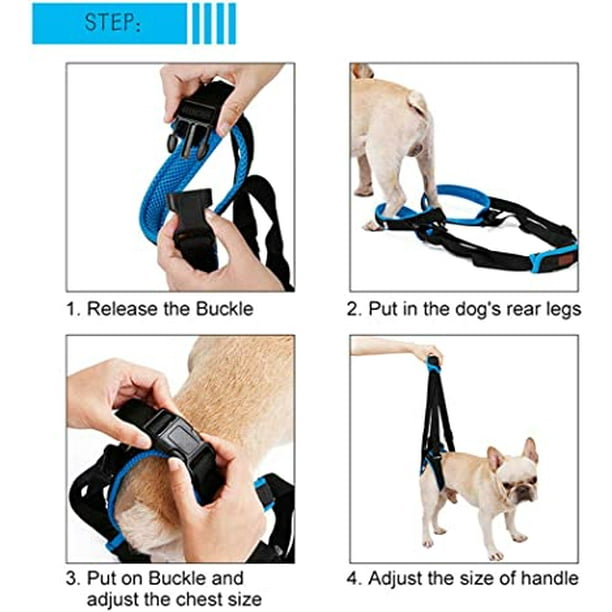 Harness for dog top with weak back legs