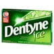 Dentyne Ice Menthe verte, gomme sans sucre, 1 paquet (12 morceaux) 16 x 235 mL – image 5 sur 11