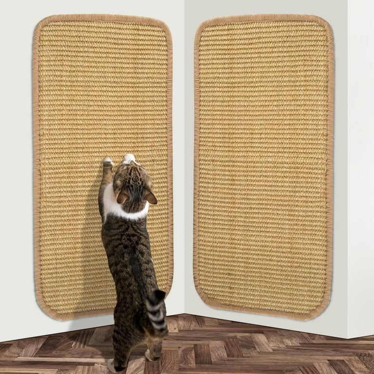 Cat peeing in corner sale