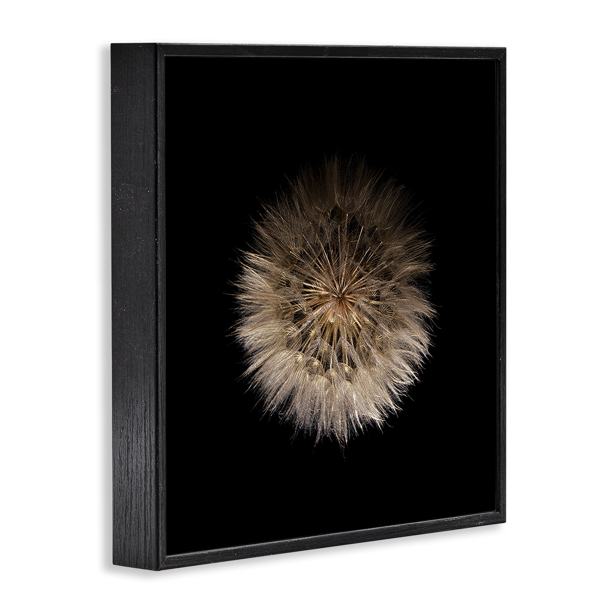 Stupell Industries Wispy Dandelion on Black Black Framed Giclee Art, design by Beth Adoette