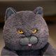 thumbnail image 5 of 30/45/60cm Lovely Chubby Plush British Shorthair Cat Toys Soft Animal relleno Cat Dolls Kids Sleeping Cushion Bonito regalo de cumpleaños, 5 of 5